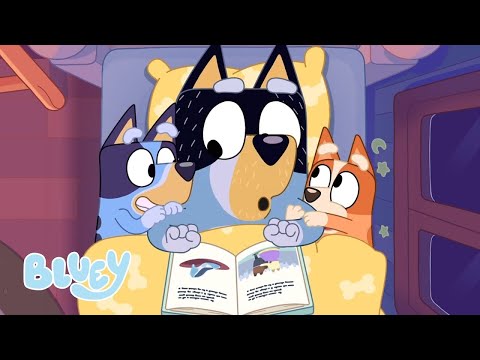 A Bluey Cinderella Story 💙✨| BONUS BIT | Bluey