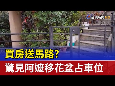 馬路放花盆