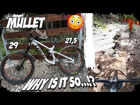 Mullet vs 29er Trek Session Extreme Test 😱| Trailpark Klinovec