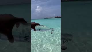 Clearest water on earth 🌎💦 Share with someone who you’d take here! #Maldives