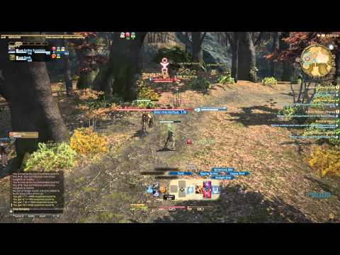 Archer Class Quest - Level 5