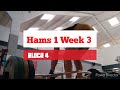 DVTV: Block 4 Hams 1 Wk 3