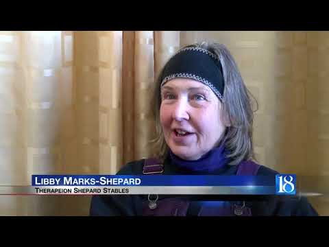 Horses use natural abilities, and some human help, to survive extreme weather