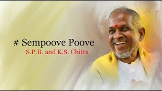 Download lagu Sempoove Poove - Sirai Chalai (1996) - High Quality Song mp3 Download lagu Sempoove Poove - Sirai Chalai (1996) - High Quality Song mp3