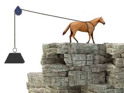 Motors: Speed, Torque & Horsepower