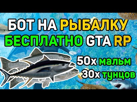 РАБОЧИЙ БОТ НА РЫБАЛКУ GTA 5 RP СЛИВ БЕСПЛАТНО