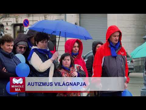 Videó előnézet