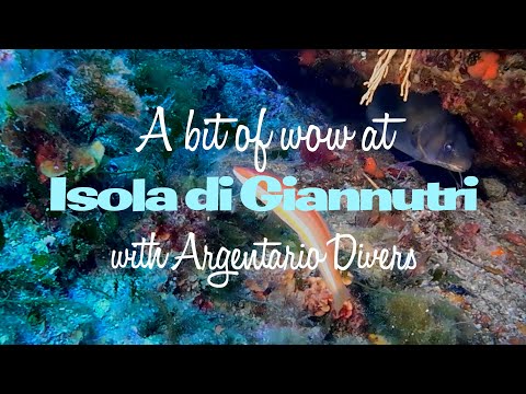 A bit of wow at Isola di Giannutri