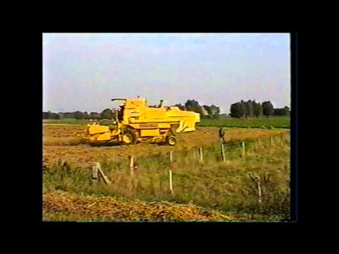 Loonw. Spruytte - Merkem