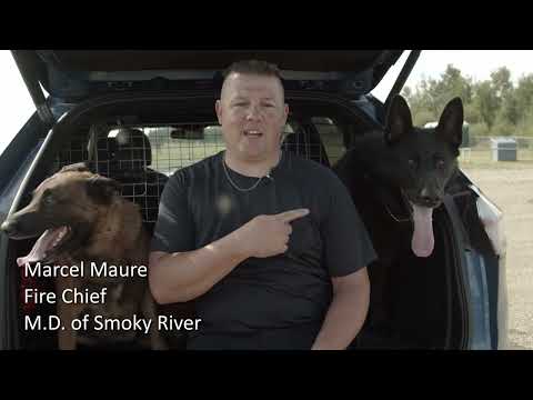 K9 Kris - Season 01 Episode 01