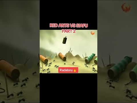 Red Ants vs siafu part two