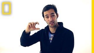 Jason Silva on Competition