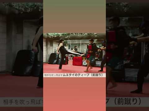 ムエタイの前蹴りをティープと言います。相手を吹っ飛ばす強烈な技です。