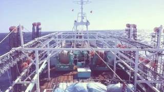 Download lagu Video cumi argentine kapal Lien Dar BI 2619.... mp3 Download lagu Video cumi argentine kapal Lien Dar BI 2619.... mp3