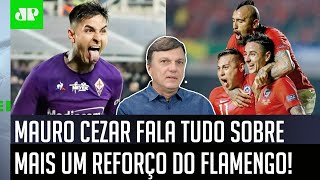 ‘O Flamengo está perto de contratar o…’: Mauro Cezar revela a informação