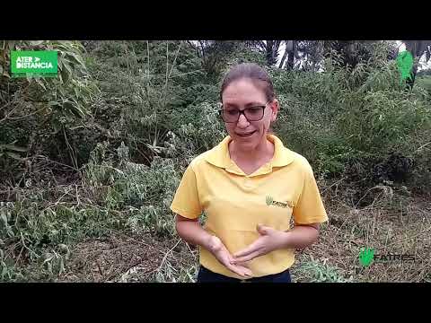 Manejo e Conservação do Solo e da Água