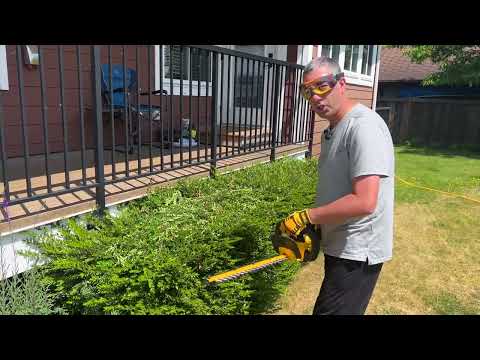 Dewalt 20v Max Hedge Trimmer 22\" DCHT820B - Is It Worth Buying?
