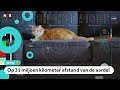 Wow! NASA verstuurt kattenfilmpje supersnel vanuit de ruimte