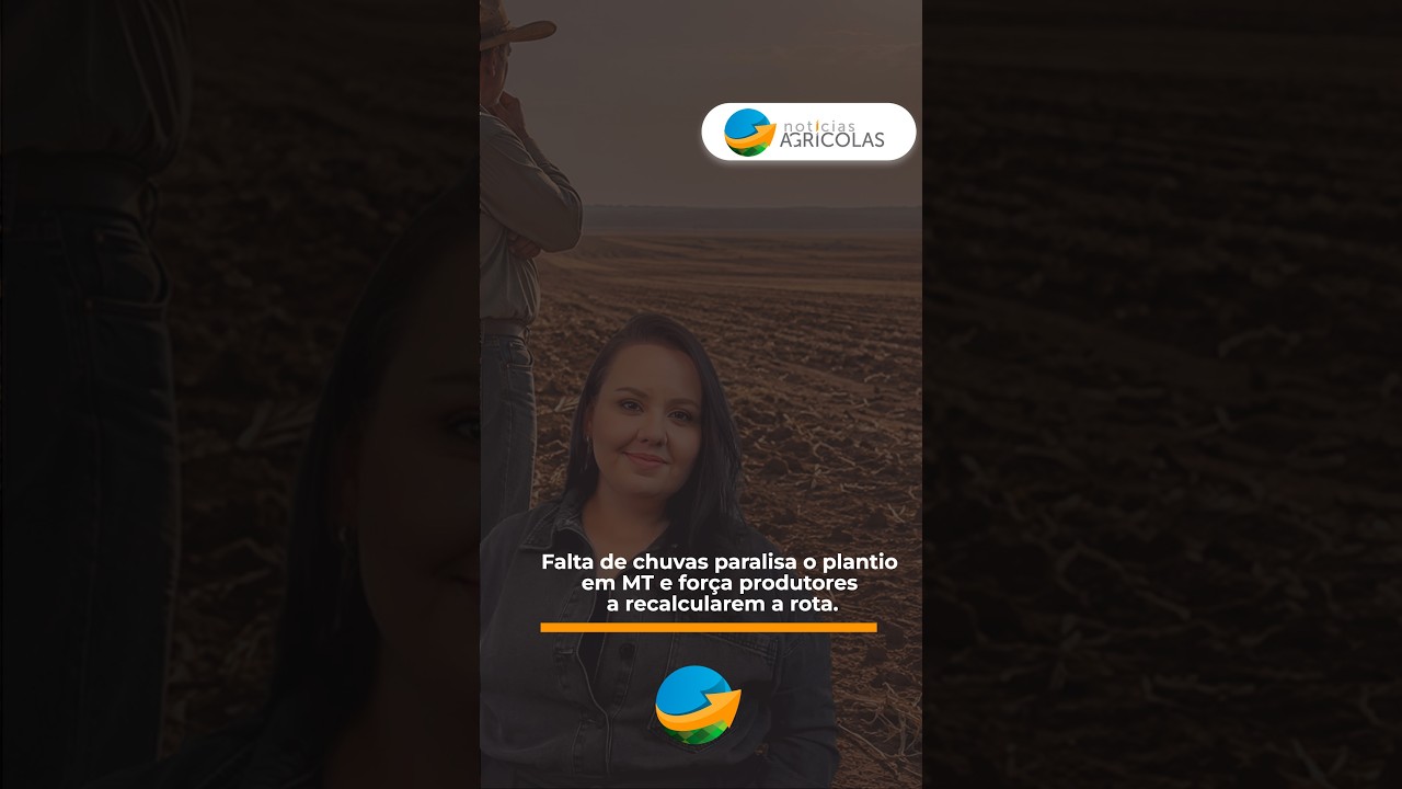 Falta de chuvas paralisa o plantio em MT e força produtores a recalcularem a rota.