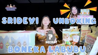 Download lagu SRIDEVI UNBOXING LABUBU #sridevi #labubumacaron #unboxing mp3