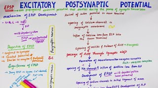Excitatory Post Synaptic Potential (EPSP) | Easy Flowchart | Physiology