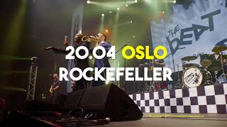 The Beat feat Ranking Roger & The Selecter // Co-headline Tour