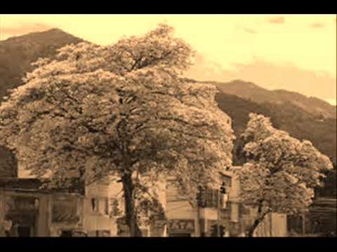 Temeridad  Manuel Jiménez y su cuarteto