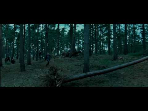 Harry Potter e i Doni della Morte - Il primo trailer in HD
