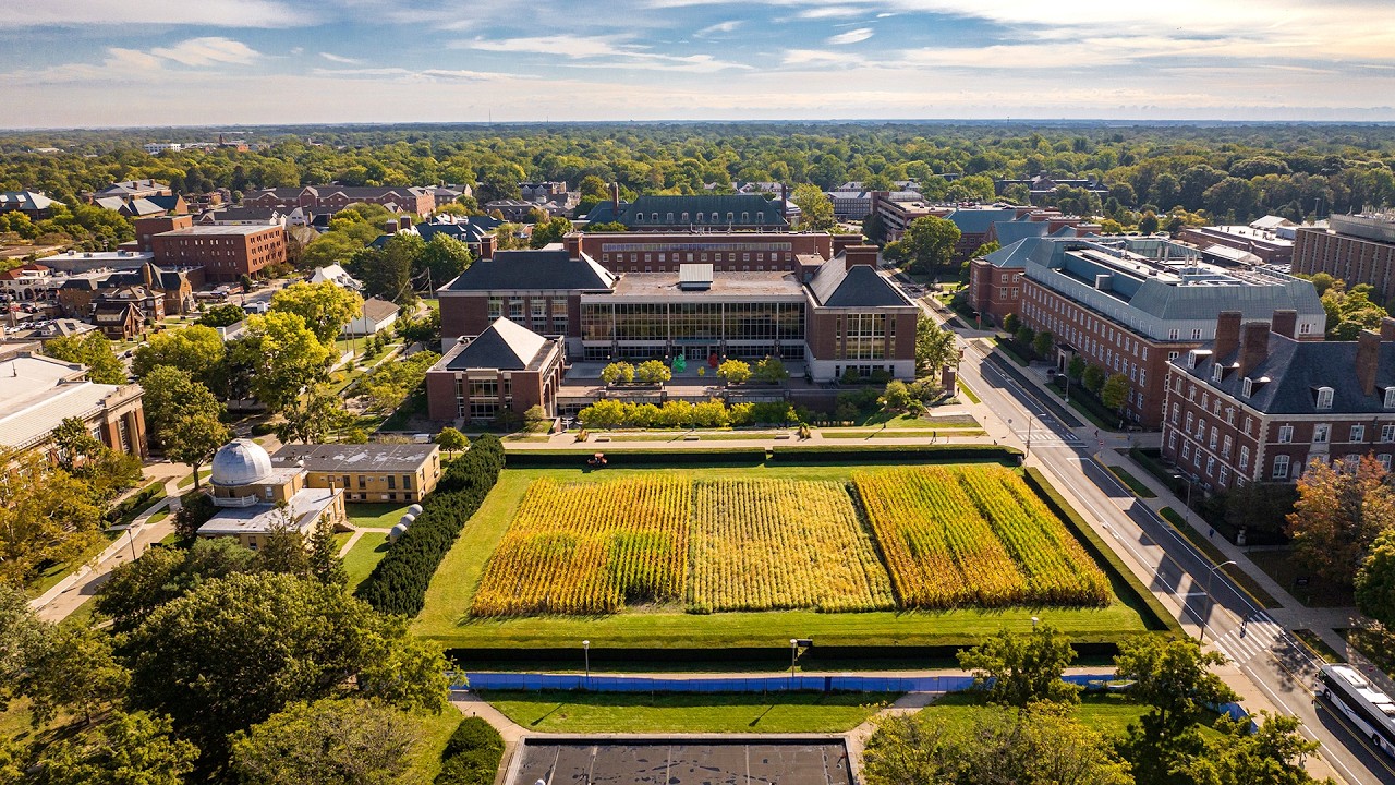 Live webcam view of Morrow Plots, campo experimental histórico