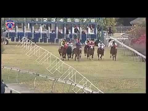 RM32 R6 | Perplexing | O.Plaçais