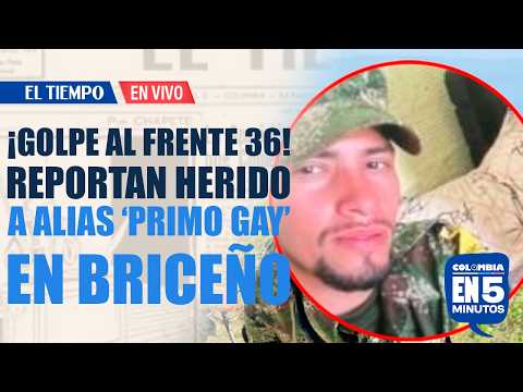 Reportan que alias 'Primo Gay', cabecilla del frente 36, resulto herido en operativo en Briceño