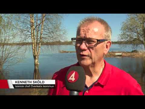 Vattnet stiger i norr - husägare oroas över stigande nivåer - Nyheterna (TV4)