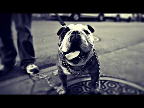 HE VUELTO (Remix) STOKER MC ❌ KAPO