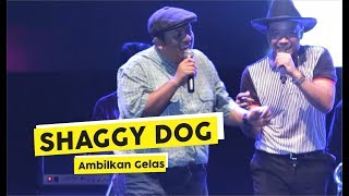 Download lagu [HD] Shaggy Dog - Ambilkan Gelas (Live at Diplo FEST 2018) mp3