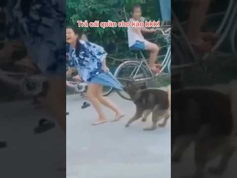 Trả cho LU cái quần kkk! #shorts  #dogsfunny