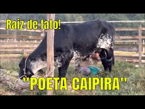 Poeta Caipira - Ivan Souza
