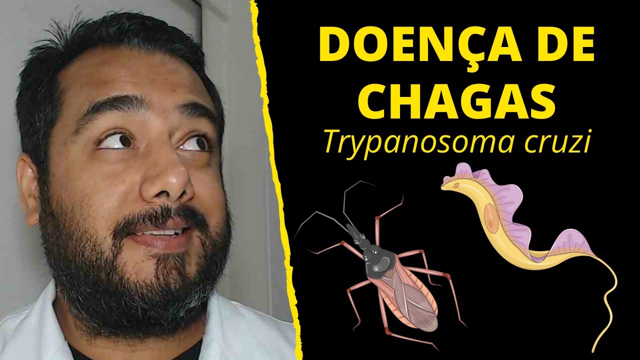 Doença de Chagas (Trypanosoma cruzi) | Tripanossomíase Americana | Bicho Barbeiro (Triatoma)