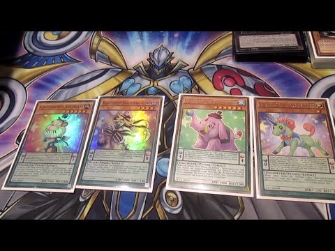 2nd Place deck profile - Pendulum Magicians (w/ Desires) - YCS Rimini 2016 - Tayfun Bayraktar