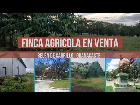 VENTA DE FINCA AGRÍCOLA A PUERTA CERRADA EN BELÉN DE CARRILLO GUANACASTE COSTA RICA