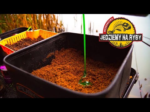 Wpasować się w ryby. Fajna woda PZW