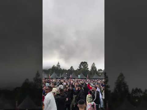 Brisotti @ Zoominimal 2019 (5)