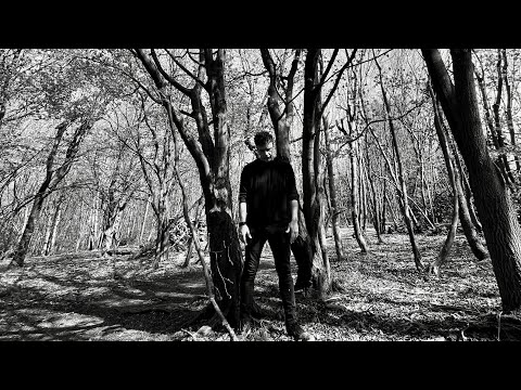 Lavonz - Something In The Way cover (Millok Remix)