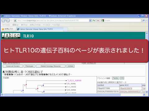 Como usar o TogoProt ~ Pesquisa e colaboração ~