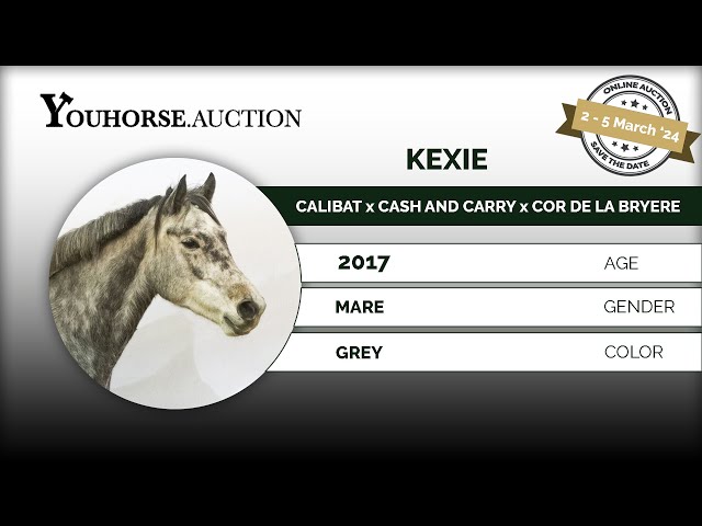 Kexie  IN THE YOUHORSE.AUCTION BREEDING & DRESSAGE  2 - 5 MARCH 2024