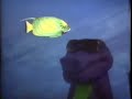 Barney Swimming Swimming