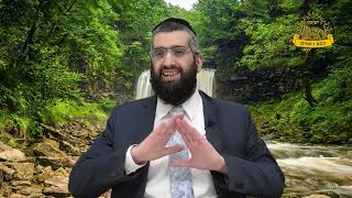 מפתח הכספות של היכל הקליפות | הרב אלרועי כהן | מתיקות התניא (מוסדות כיסא רחמים) - התמונה מוצגת ישירות מתוך אתר האינטרנט יוטיוב. זכויות היוצרים בתמונה שייכות ליוצרה. קישור קרדיט למקור התוכן נמצא בתוך דף הסרטון