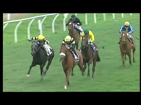 Galoppo 28/12/2020 - 2ª corsa