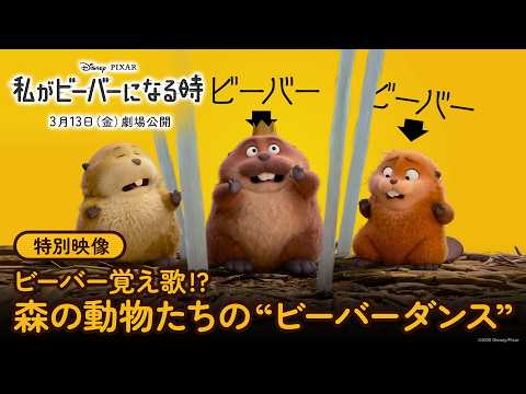特別映像｜ビーバー覚え歌⁉森の動物たちの“ビーバーダンス”