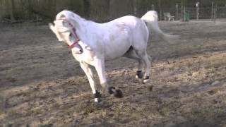 Up and Down Around Again