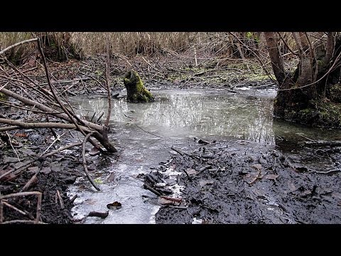 Misterele Baltii Cehei. Taul cu biserica de sub ape. Serpi rosii, strigoi si urioi